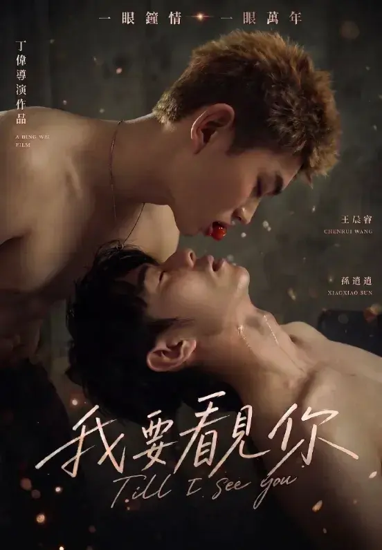 《我要看见你》 (2026)｜中国大陆BL剧集内容梗概及网盘分享